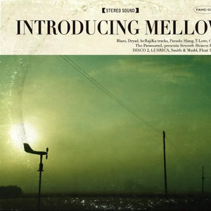 麻豆果冻传媒精品二三区
