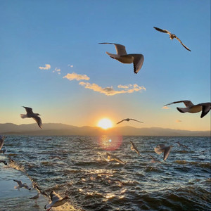 麻豆果冻传媒精品二三区
